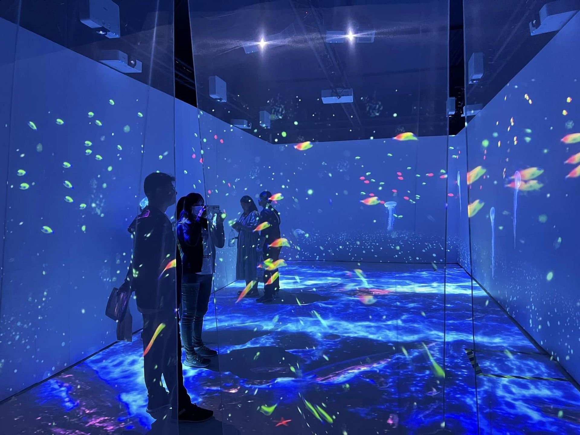 室內沉浸式投影展演 — 3
