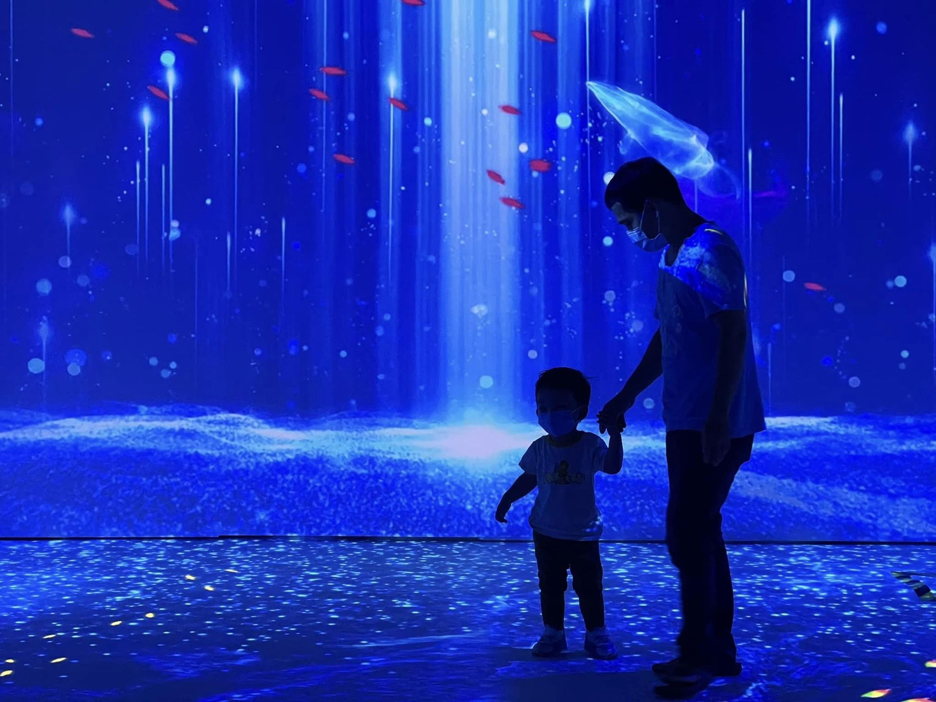 室內沉浸式投影展演 — 4